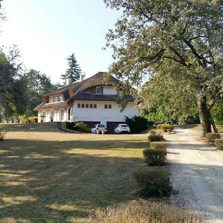 La Belle Chaumiere Bed and Breakfast Bretagne-de-Marsan Eksteriør billede